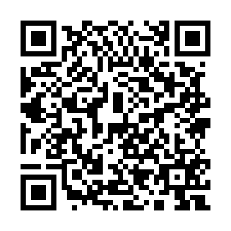 QR code for plate 19-95553