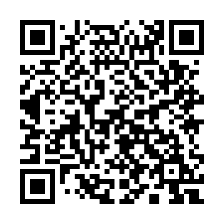 QR code for 1995QM