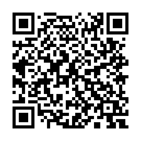 QR code for plate 19-95XQ