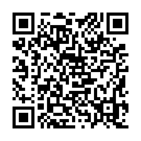 QR code for 1996HO