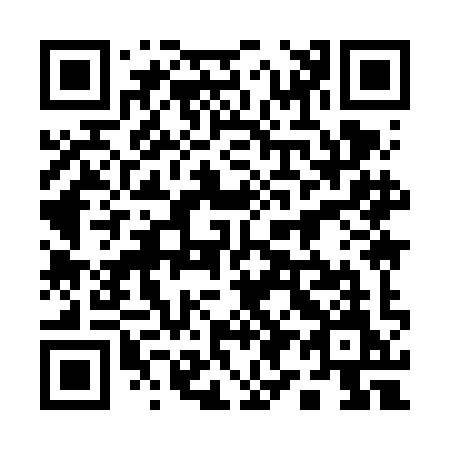 QR code for 1996IM