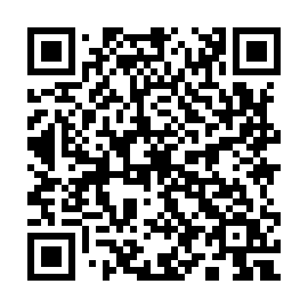 QR code for 19991V