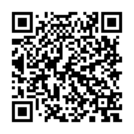 QR code for plate 19-9920