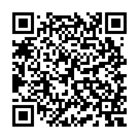 QR code for 2-15381