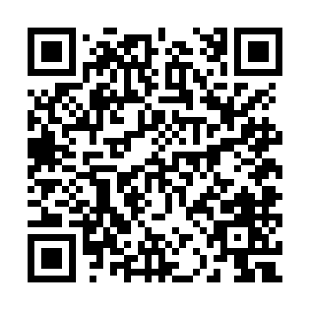 QR code for 2-2DNM