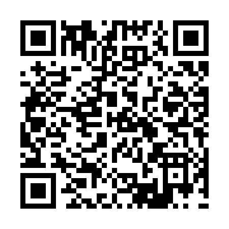 QR code for 2-2MCH