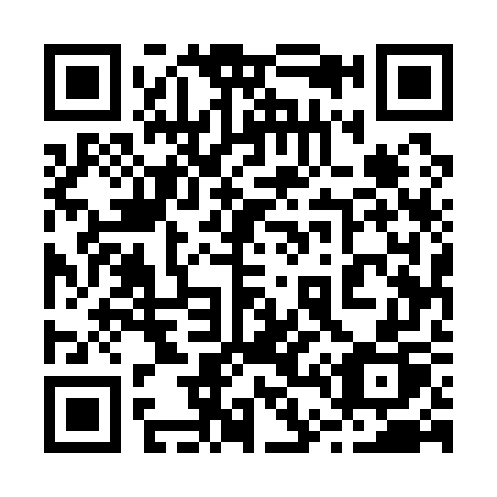 QR code for 2-4517P