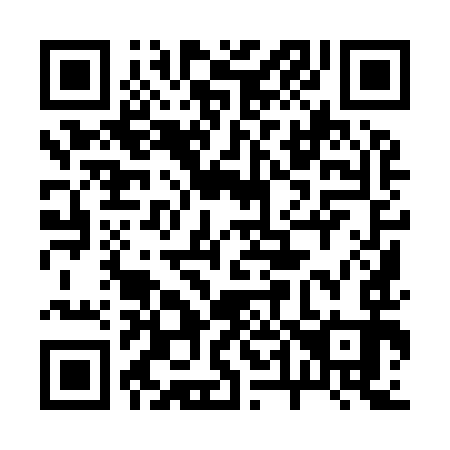 QR code for 2-49993