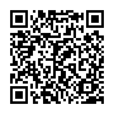 QR code for 2-5376P