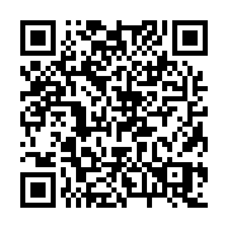 QR code for 2-6316P