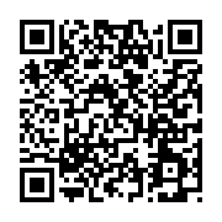 QR code for 2-641P