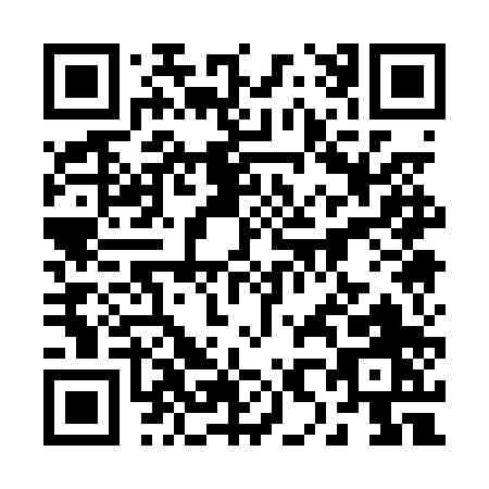 QR code for 2-810P