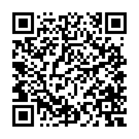 QR code for 2-8538