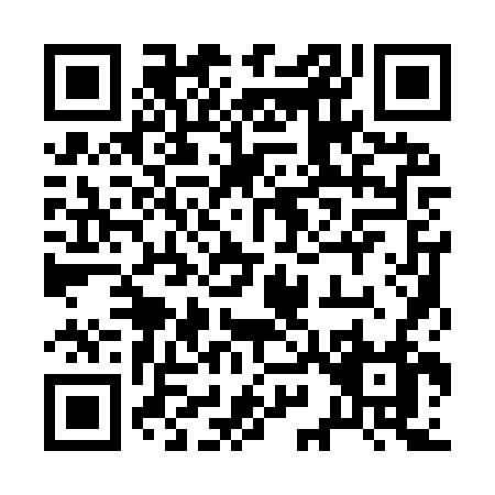 QR code for 2-919V