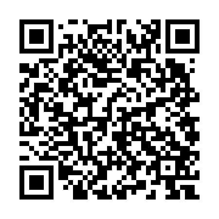 QR code for 2-96603