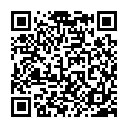 QR code for 2-99333