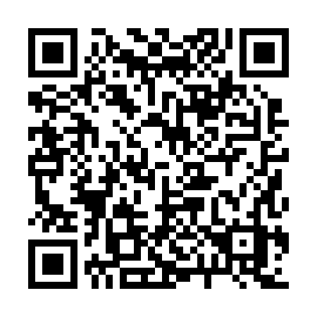 QR code for plate 2-0028Z