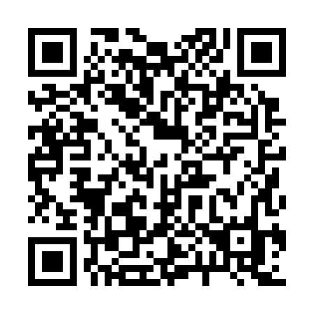 QR code for plate 20-038O