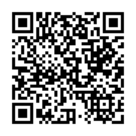 QR code for 2009NL