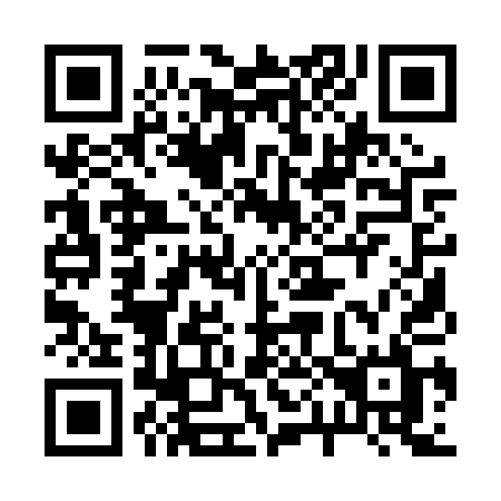 QR code for 2010QL