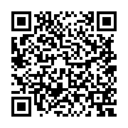 QR code for plate 20-38529