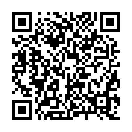 QR code for plate 20-385O