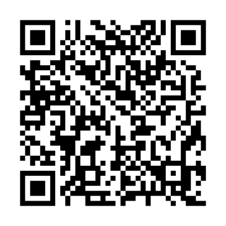 QR code for 20386K