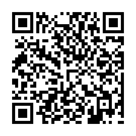 QR code for 2038EI