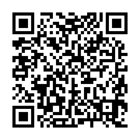 QR code for plate 20-3991