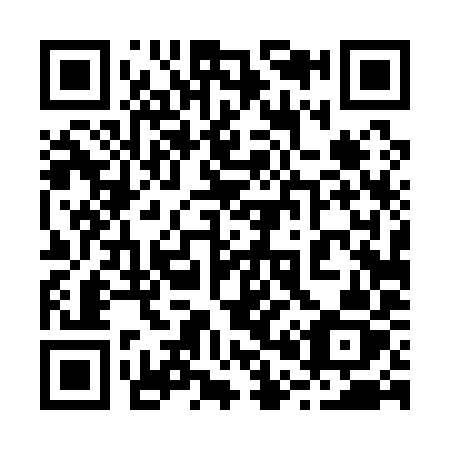 QR code for 20419Z