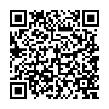 QR code for plate 20-45565