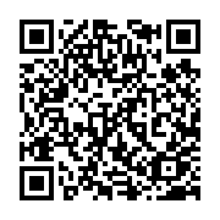 QR code for 20460P