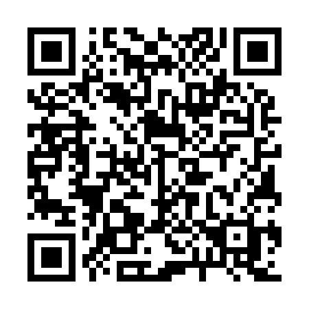 QR code for 20593H