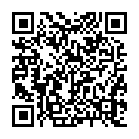 QR code for 20687Z