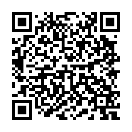 QR code for plate 20-9063