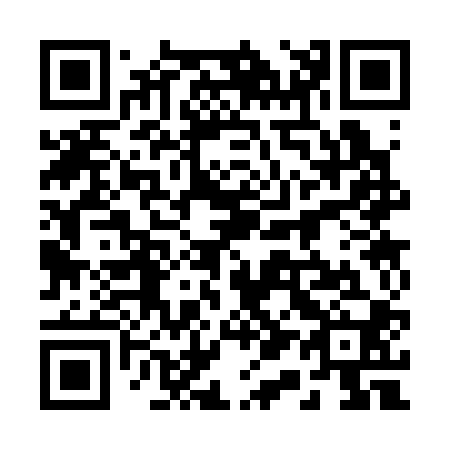 QR code for plate 2-13300