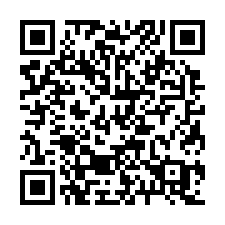 QR code for 21333A