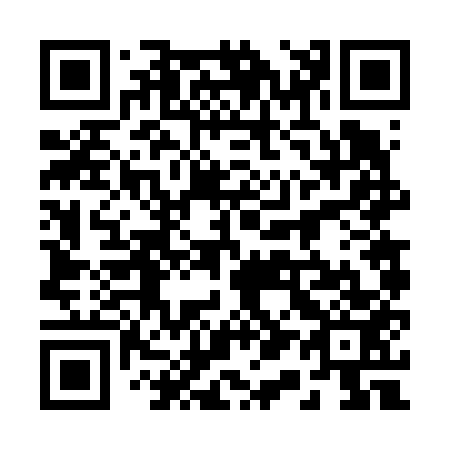 QR code for 216653