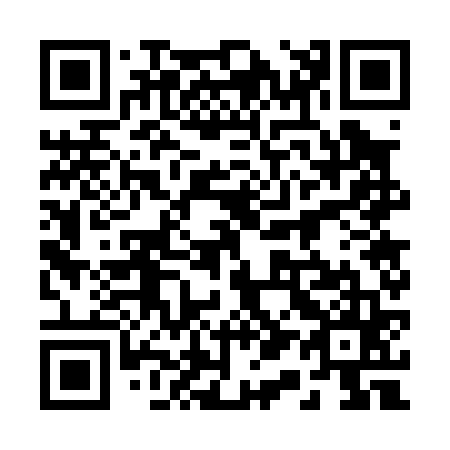QR code for plate 2-17065