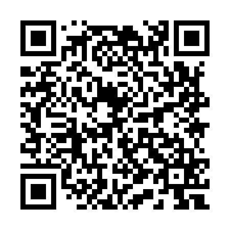 QR code for plate 21-9965