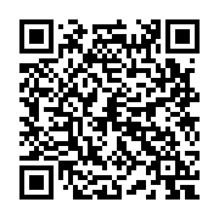 QR code for 22-313I