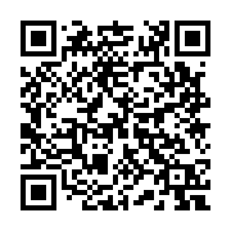QR code for 22113P