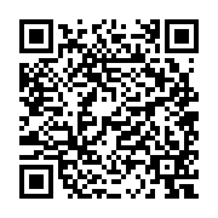 QR code for plate 22-23933
