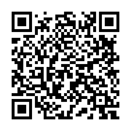 QR code for 22381H