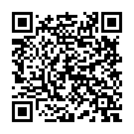QR code for 22385T
