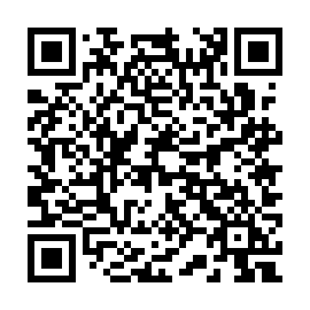QR code for plate 22-51JI