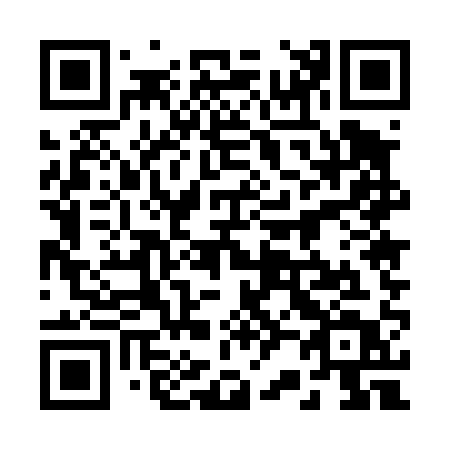 QR code for plate 22-541T