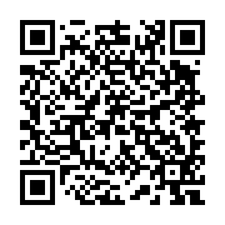 QR code for 225493