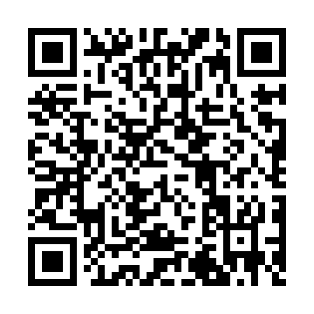 QR code for 225IS