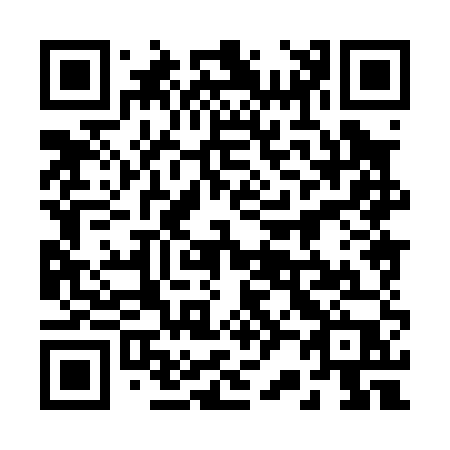 QR code for 22805P